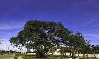 Imagem 3: Casa em Condomínio 3 dormitórios à venda Hípica Porto Alegre/RS