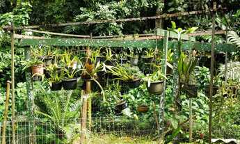 Imagem 2: Casa com 300m² a Venda - Itacorubi - Florianópolis/SC