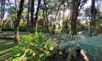 Imagem 2: Terreno à Venda em Canela, na Vila Suzana!