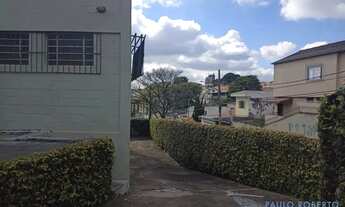 Imagem 5: GALPÃO - CIDADE ADEMAR - SP