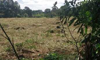 Imagem 2: Locação de área para plantio