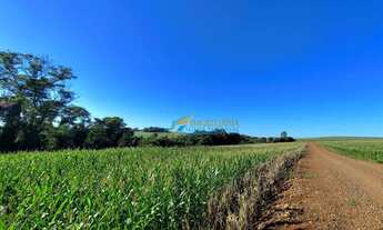 Imagem 13: Sítio à venda, 121000 m² por R$ 1.750.000,00 - Centro - Toledo/PR