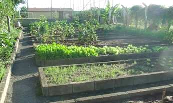 Imagem 6: Sítio em Conchal