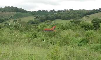 Imagem 3: Fazenda/ Sítio/ Chácara para venda, na Colônia Vaz de Melo, em Viçosa - MG