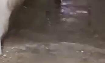 Imagem 6: Alugo espaço para trabalho para fazer marcenaria ou vc que trabalha com mármore espaço9x12