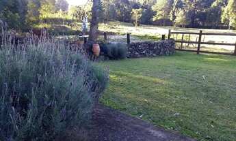 Imagem 5: Sítio em Marcondes - Marcondes - Gramado/RS