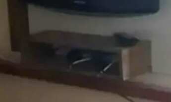 Imagem 3: Apartamento em Santa Maria Goretti