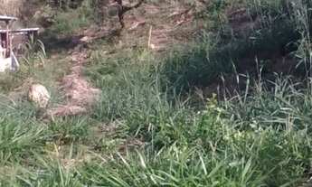 Imagem: Oportunidade!! Terreno escriturado vila