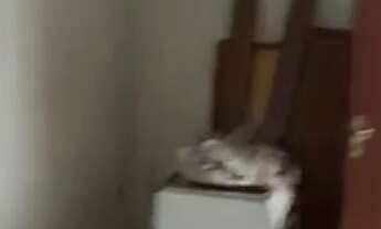 Imagem 3: Aluga-se kitnet no jundiaí