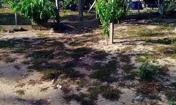 Imagem 6: Vende se ou troca por caminhão, casa, carro ou lote rural