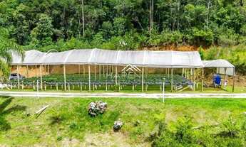 Imagem 4: Para quem busca sossego pertinho de Curitiba!