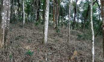 Imagem 4: Lote em Macacos, condomínio Ecoville 2