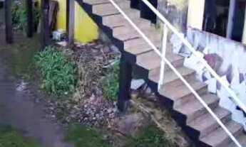 Imagem 3: ALUGA-SE 1150so chamar