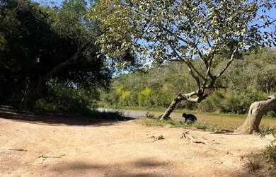 Imagem: 3 Oportunidade Única Terreno 500m² em