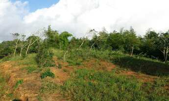 Imagem: Oportunidade ! Terreno c 7,5ha, em Vitória
