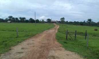 Imagem 7: Faznda no baliza roraima