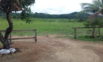 Imagem 3: Faznda no baliza roraima