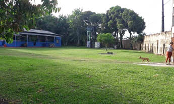 Imagem 3: Vendemos um terreno com 10.000m2 a 200m da Rodovia Mário Covas