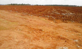 Imagem 7: FAZENDA ALTAMENTE PRODUTIVA COM 470HECTARES, CAFE E SOJA IRRIGADA!!
