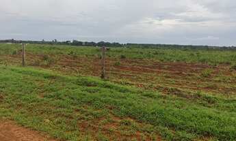 Imagem 4: Fazenda de 265 Alqueires vale do Araguaia Marianopolis TO