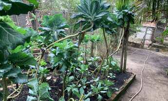 Imagem 5: Terreno na Barra de Maricá - Frente para a Praia - Barracuda - Localização Privilegiada