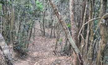 Imagem 5: Terreno 5 Hectares Entre Rios de Minas
