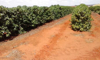 Imagem 3: FAZENDA ALTAMENTE PRODUTIVA COM 470HECTARES, CAFE E SOJA IRRIGADA!!
