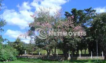 Imagem 5: Venda Fazenda Área Rural de Pará de Minas Pará de Minas