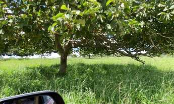 Imagem 2: Chácaras em prof jamil