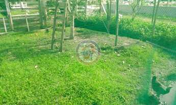 Imagem 5: Chácara à venda 2 Quartos, 1 Suite, 4 Vagas, 4000M², tres barras, Pedro de Toledo - SP