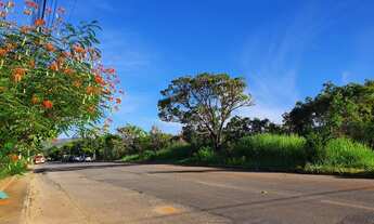 Imagem 3: Lotes de 1.000m² Promocionais Próximos da Lagoa Central