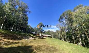 Imagem 3: BALSA NOVA - Chácara - Mato Chiqueiro