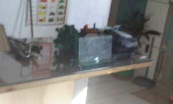 Imagem 6: Alugo casa no igarapé