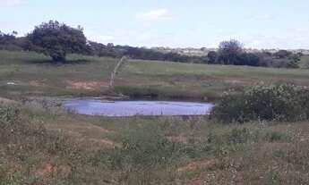 Imagem 5: Fazenda com 290 hectares entre Macaíba e são Pedro do Potengi
