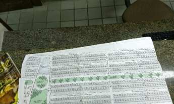 Imagem: 2 Terrenos por 37.000,00