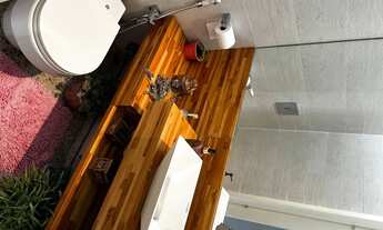 Imagem 7: Prédio em Centro de terreno, varandão, piscina, impecável!