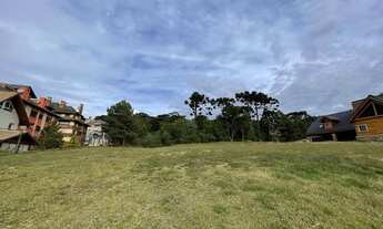 Imagem 3: CANELA - Terreno Padrão - Altos Pinheiros