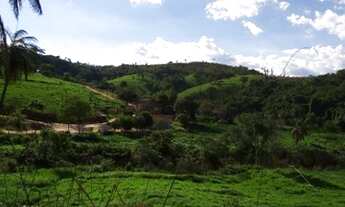 Imagem 7: Fazenda em Itapira, interior de São Paulo
