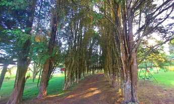 Imagem 6: Lotes Com Acesso Fácil ao Centro de Ibiúna - SP HP