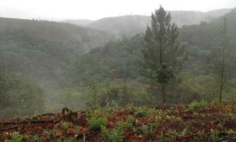 Imagem 2: VILLAGE SANSN SOUCI - MACACOS - Nova Lima - MG