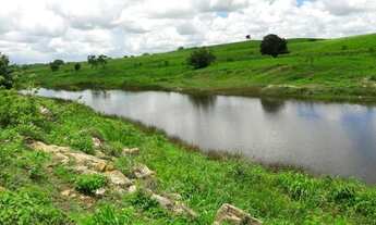 Imagem 5: Fazenda na região de monte alegre com 210 hectares