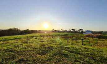 Imagem 4: Terreno 3.000m² há 3km do centro Veranópolis
