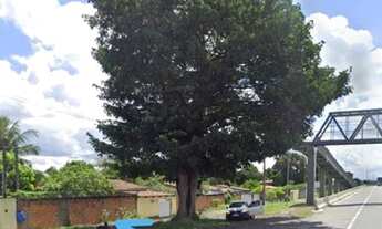 Imagem 2: Terreno na BR 324 AMÉLIA RODRIGUES