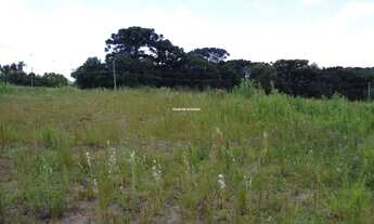 Imagem 5: GARIBALDI - Terreno Padrão - Borghetto