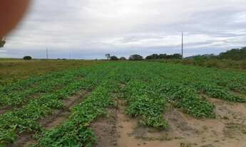 Imagem 3: Sitio no PA Nova Amazônia 1