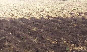 Imagem 3: VENDE-SE TERRENO