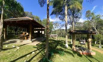 Imagem 7: BALSA NOVA - Chácara - Mato Chiqueiro