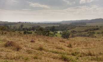 Imagem 5: Excelente Fazenda para Gado em Piracicaba
