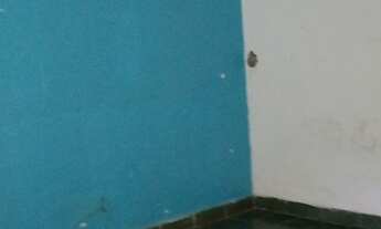 Imagem 6: Casa para aluguel centro