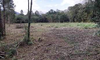 Imagem 5: Vendo Chácaras em Nova Hartz